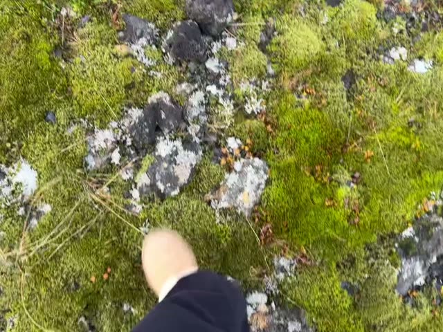 [date_2025-10-01] [views_NA] [likes_3] Video by minamigessel [DPRLT4JDdvx]